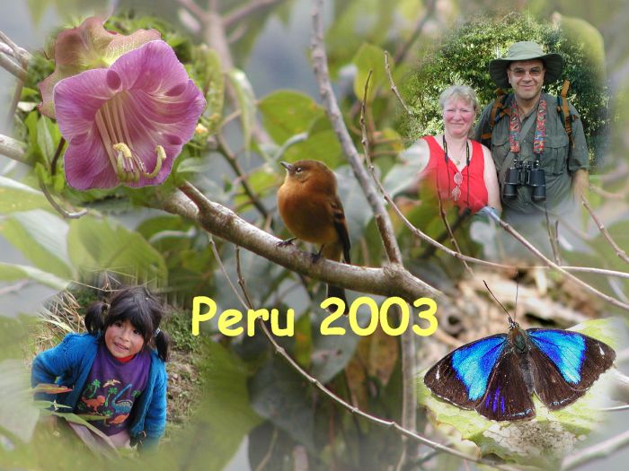 Peru Collage