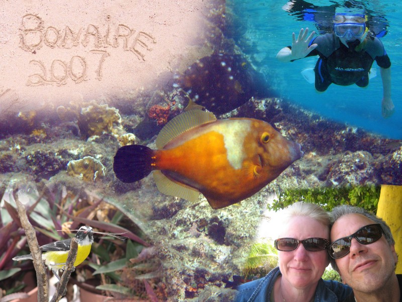 Click to view the Bonaire slide show