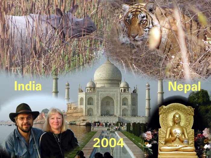 India Collage
