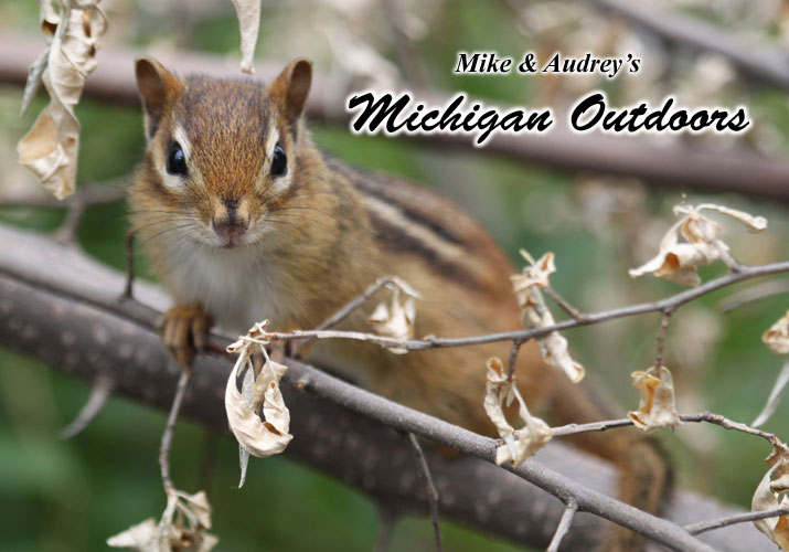 Click to view the Michigan Outdoors slide show